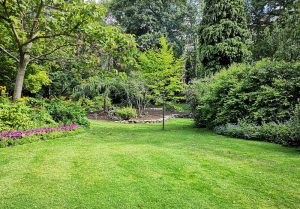 Optimiser l'expérience du jardin à Sivry-Courtry